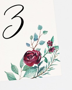 Numeri tabella "Eucalipto e rose"